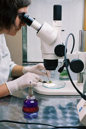 osoba pracująca w laboratorium