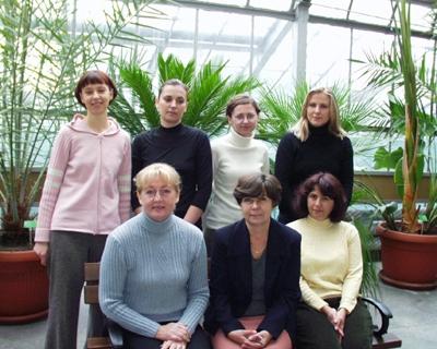 kolekcja roślin wisząca na ścianie w szklarni