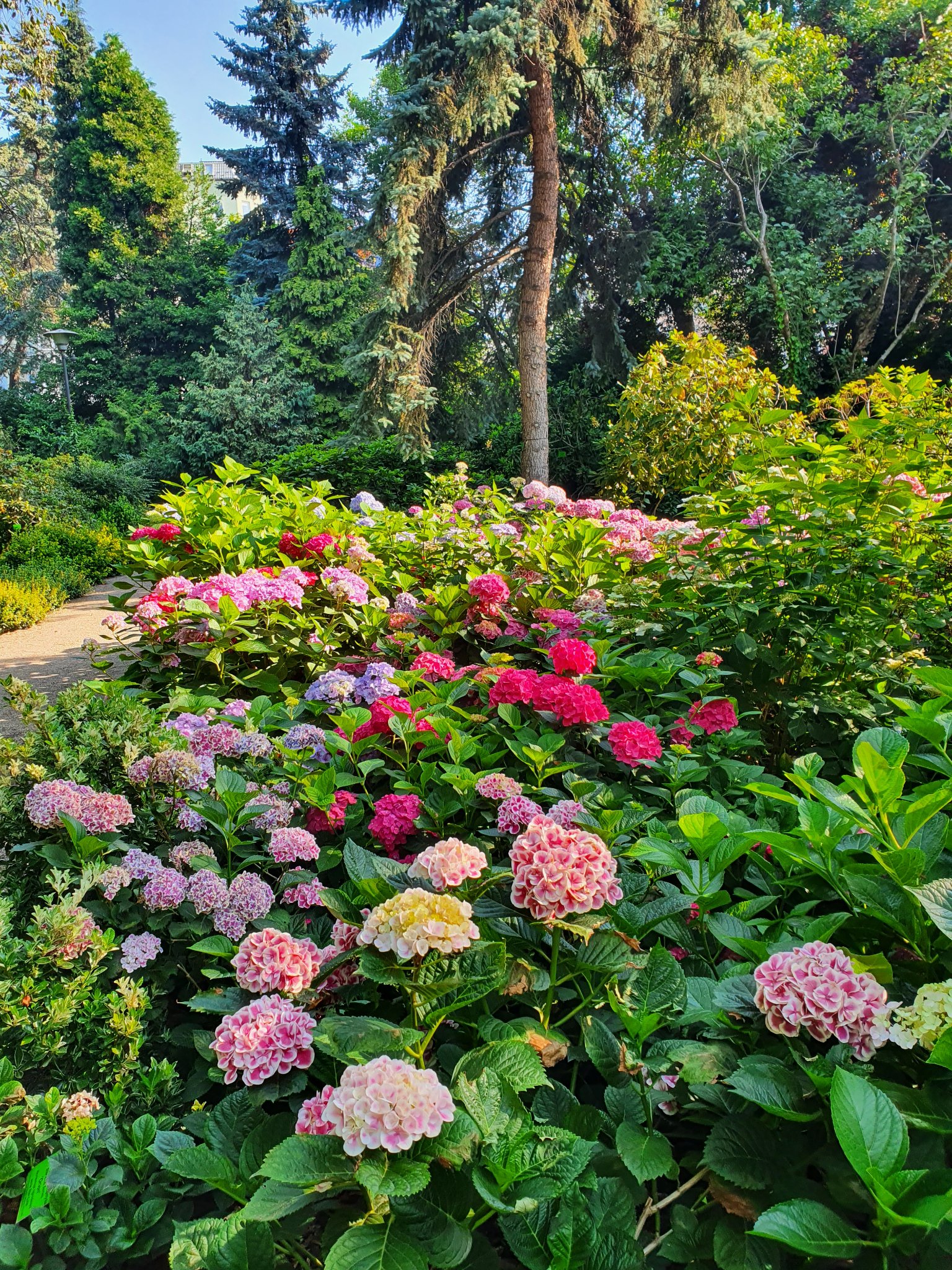kolekcja roślin wisząca na ścianie w szklarni