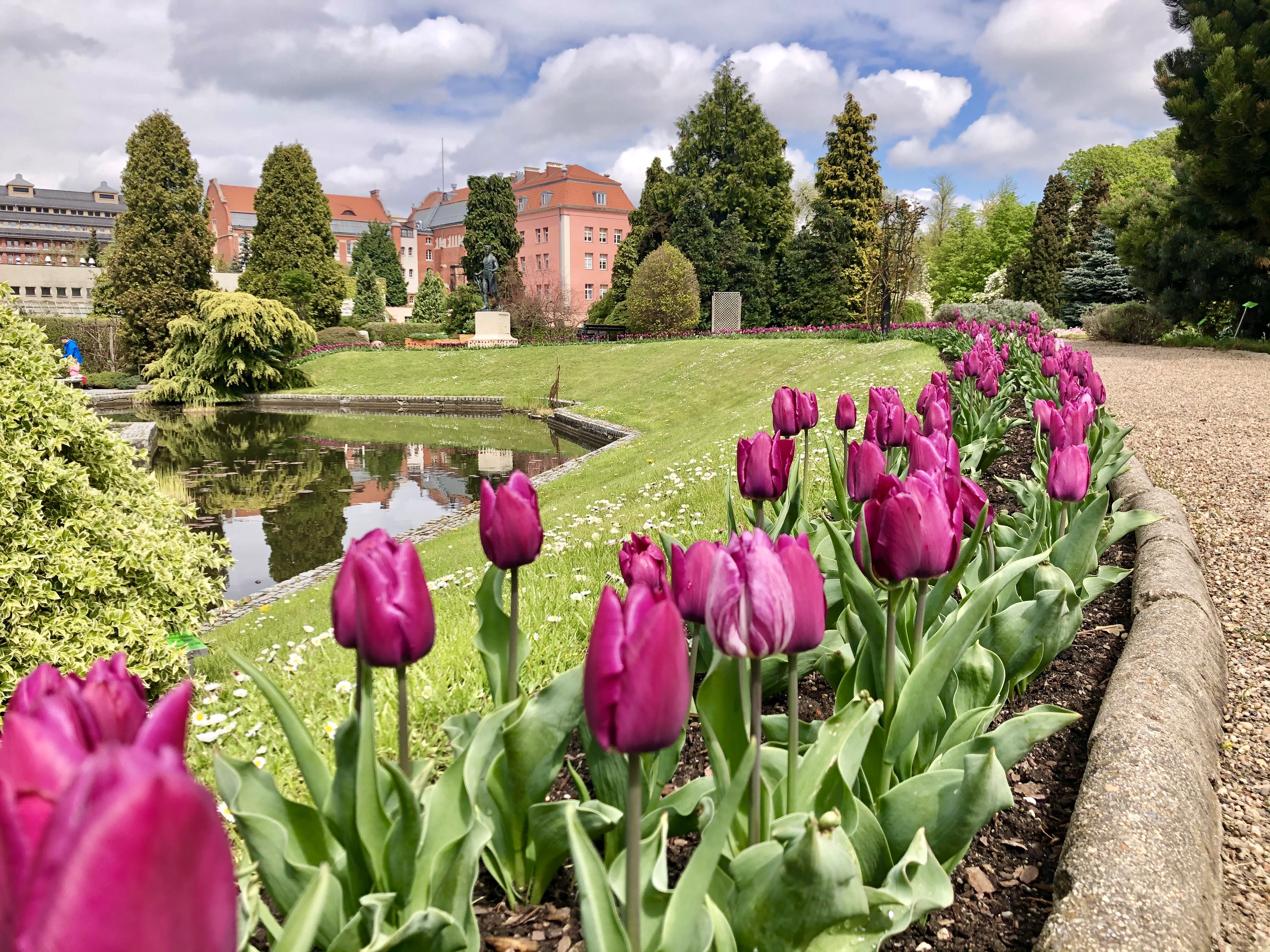 kolekcja roślin wisząca na ścianie w szklarni