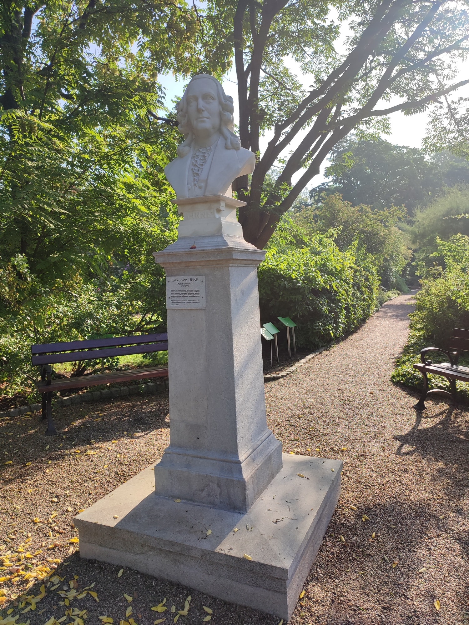 kolekcja roślin wisząca na ścianie w szklarni