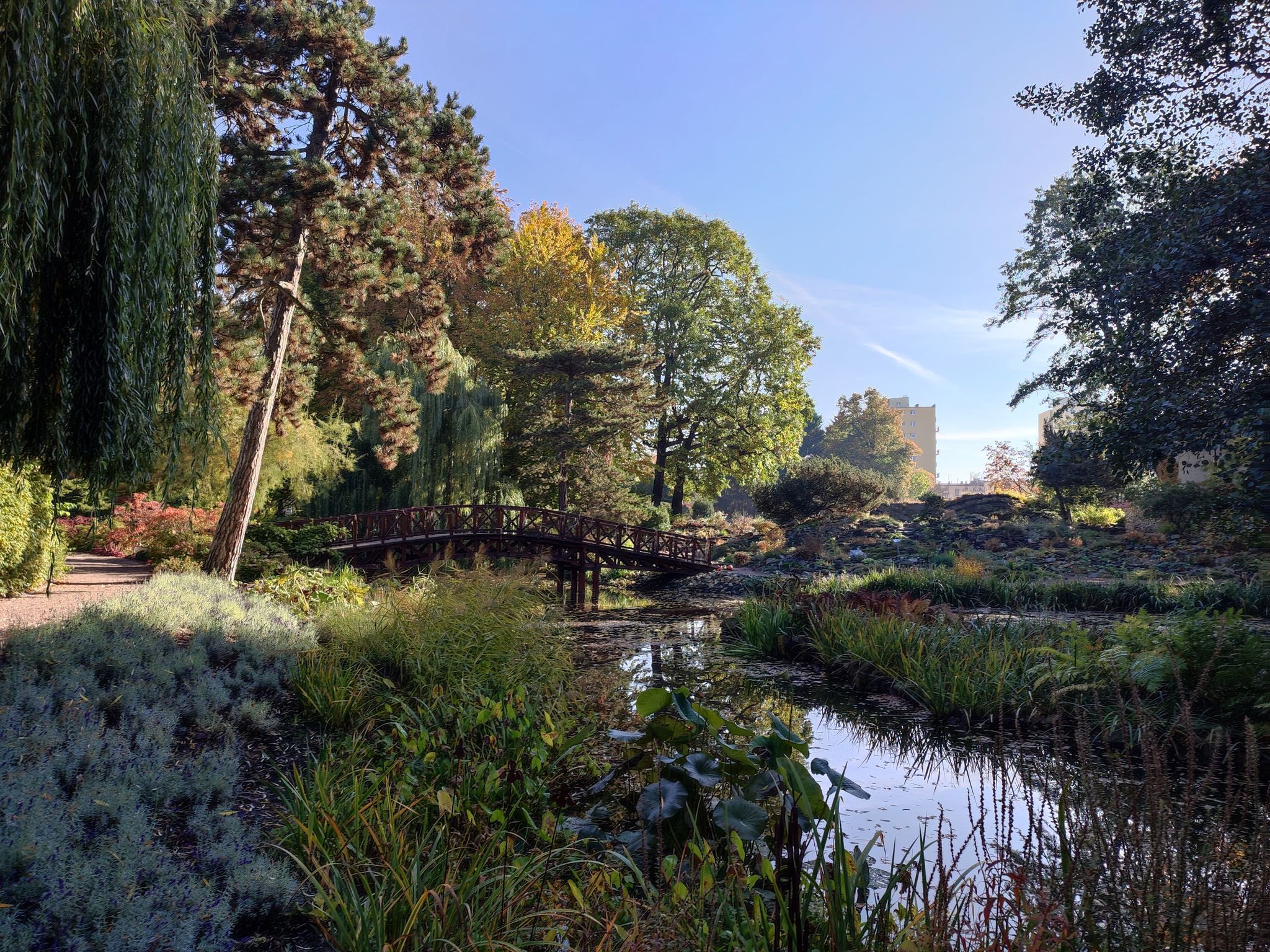 kolekcja roślin wisząca na ścianie w szklarni