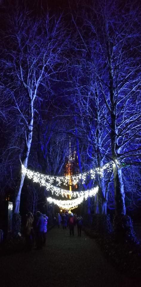 Iluminacja